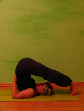 FRIEDENSRAUM - Pflug