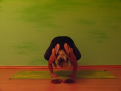 FRIEDENSRAUM - KRÄHE