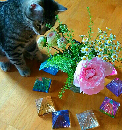 FRIEDENSRAUM mio - alle pyramiden 05.2016