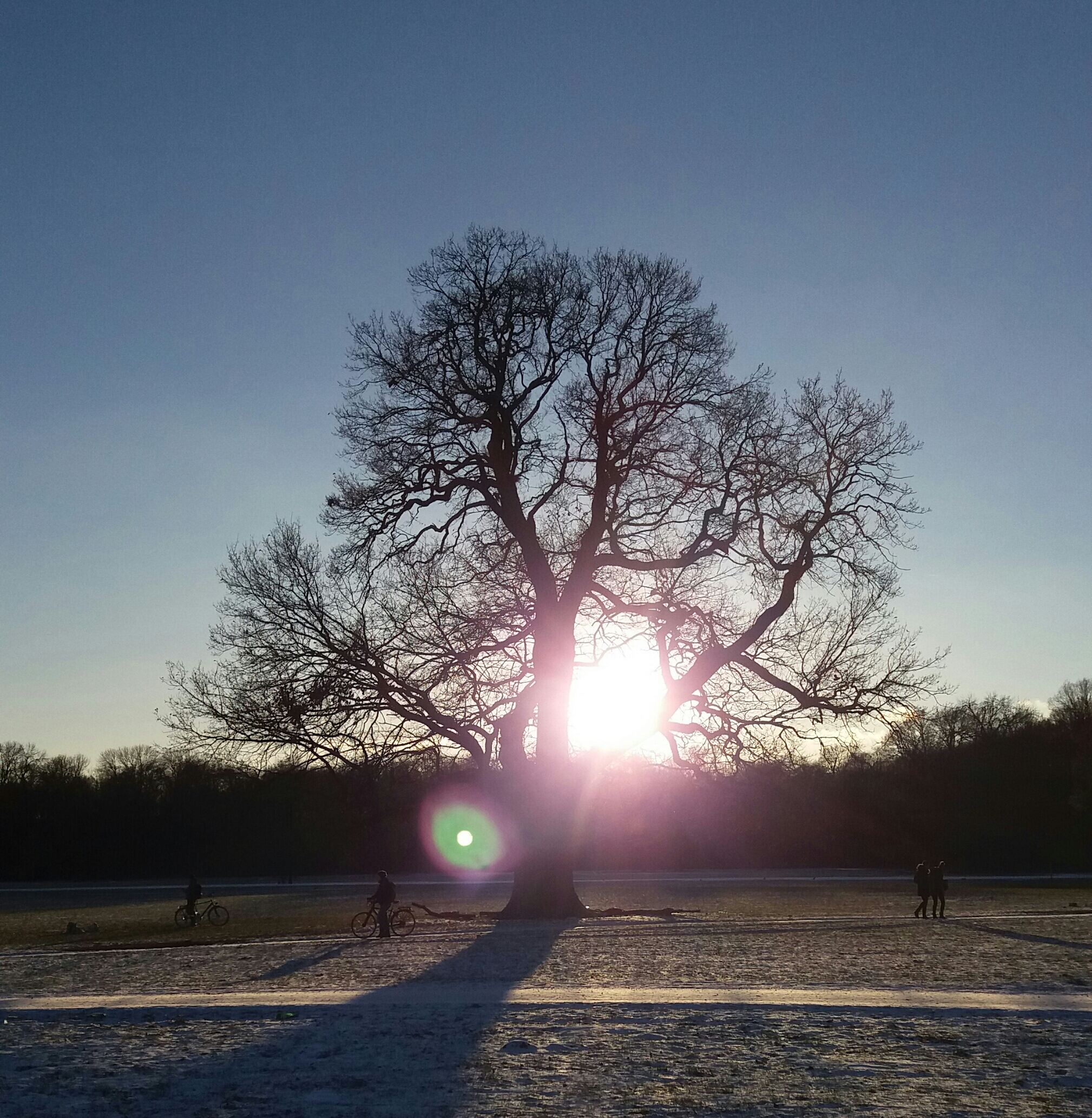 20170106_152329-1-1