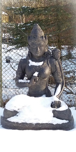 friedensraum-shakti-komp