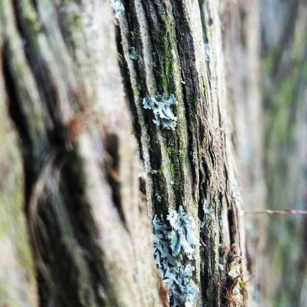 FB_IMG_1513543381022