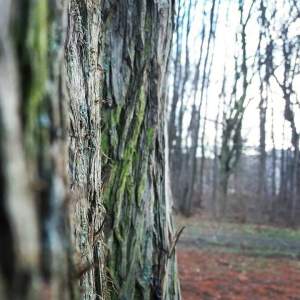 FB_IMG_1513543385644