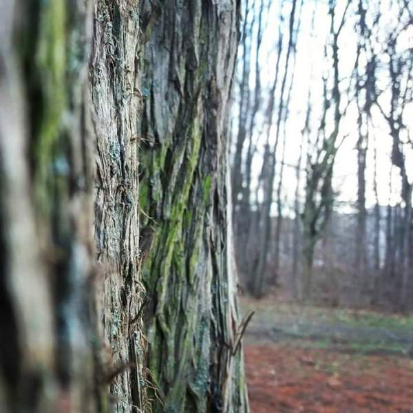 FB_IMG_1513543385644