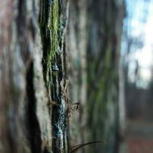 FB_IMG_1513543388809