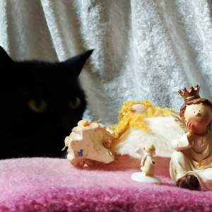 FB_IMG_1514115215758